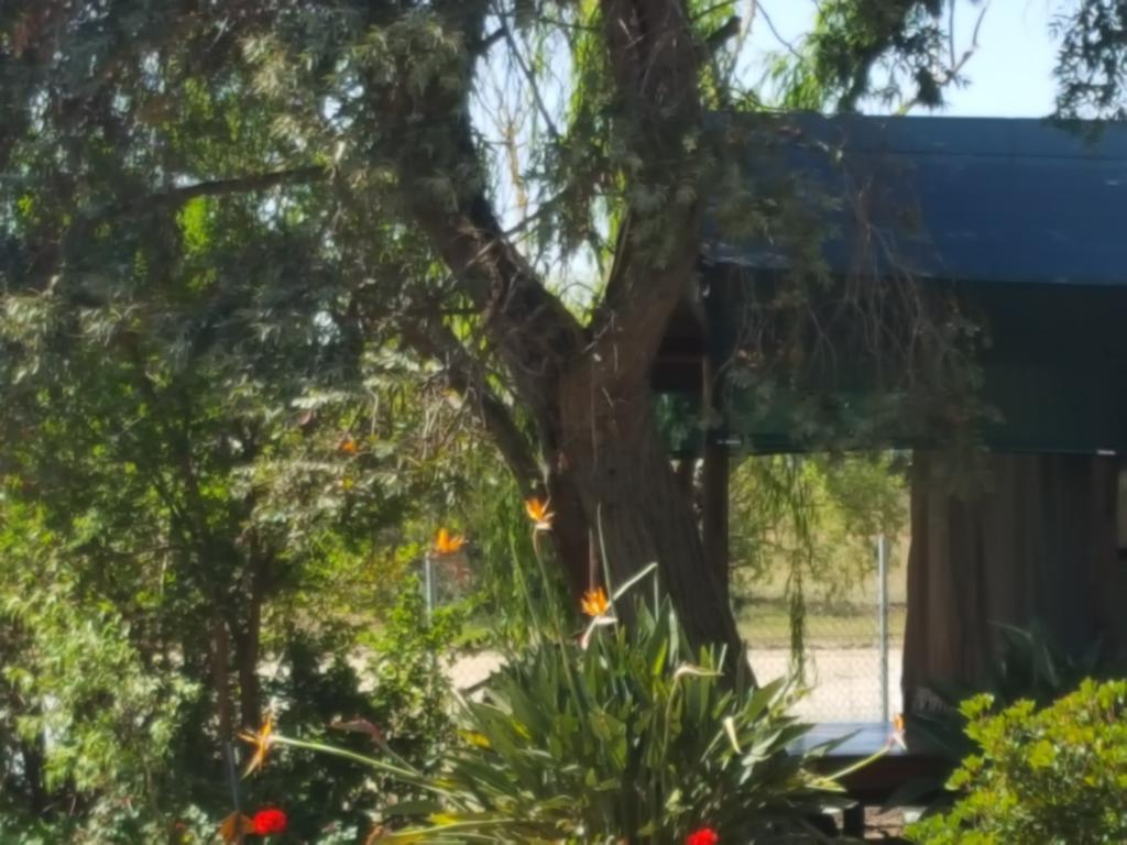 Hoopenburg Guesthouse Stellenbosch Exterior foto